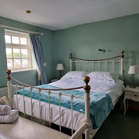 Oyo The Leven Hotel 3*