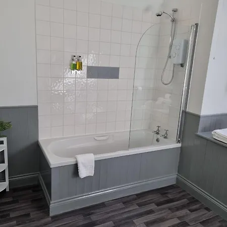 Hotel Oyo The Leven 3*