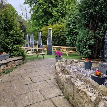 Отель Oyo The Leven 3*