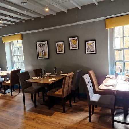 Oyo The Leven Hotel 3*