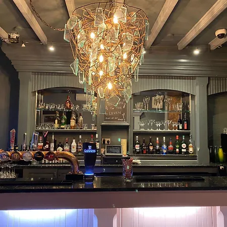 Hotel Oyo The Leven 3*