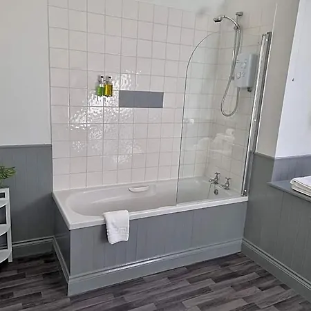 Oyo The Leven Hotel 3*